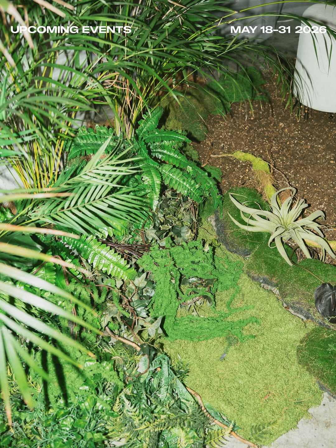 Series photo 14